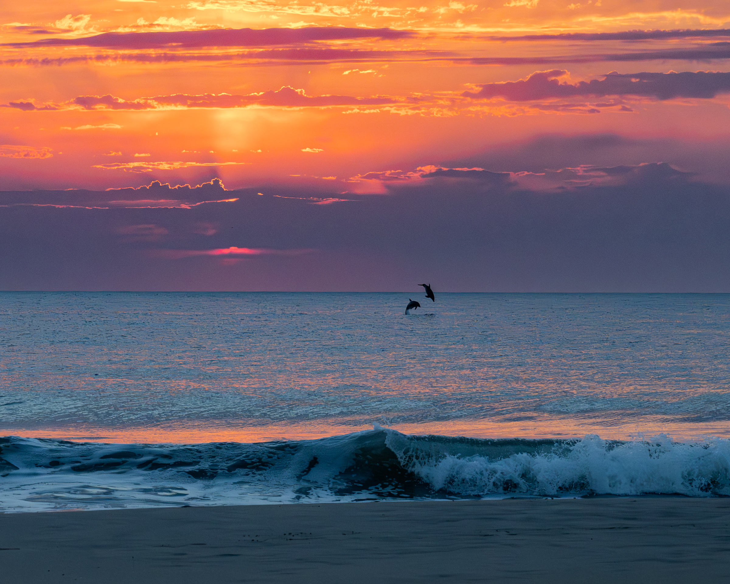 3rd PrizeOpen Nature In Class 2 By Earl Blake For Dalphin Sunrise FEB-2026.jpg